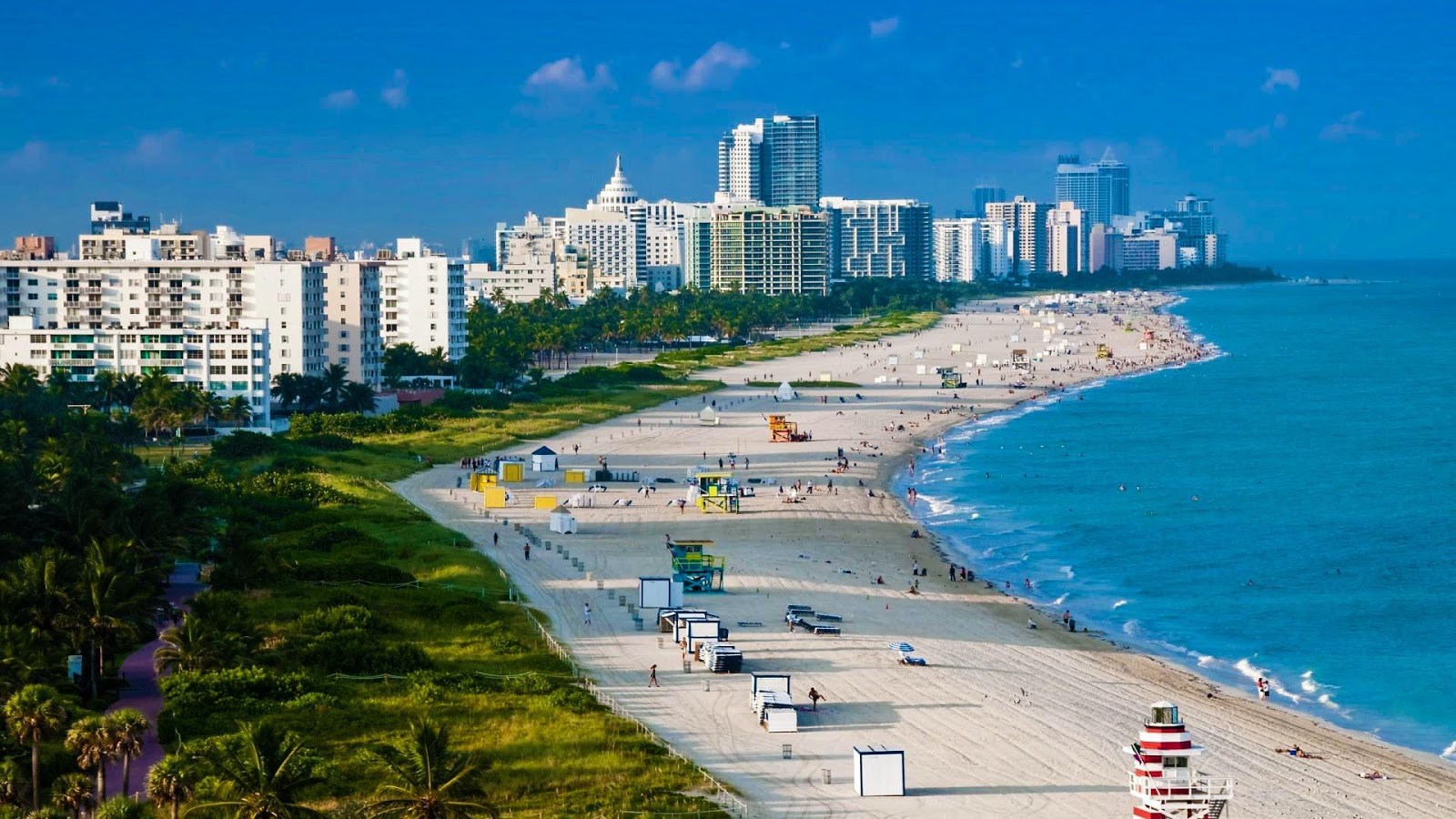 Miami Madness Attractions, Activities, & Things To Do in Miami