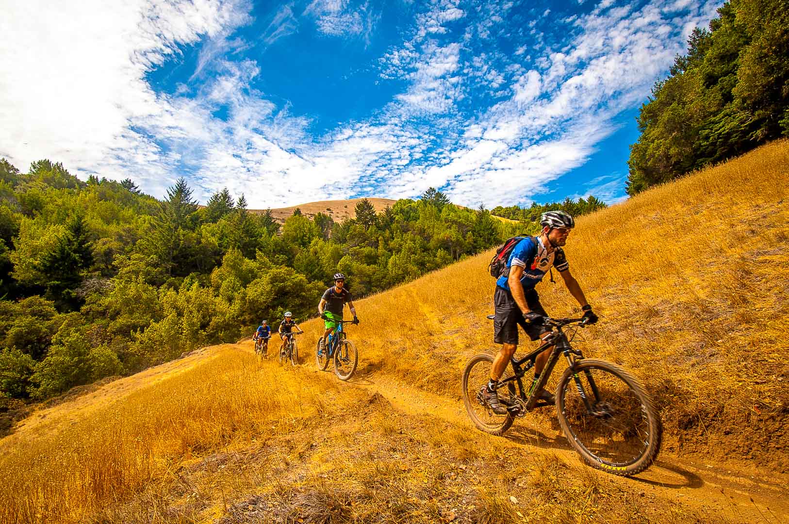 Mountain Bike Tours, Rentals and Skills Mountain Bike SF