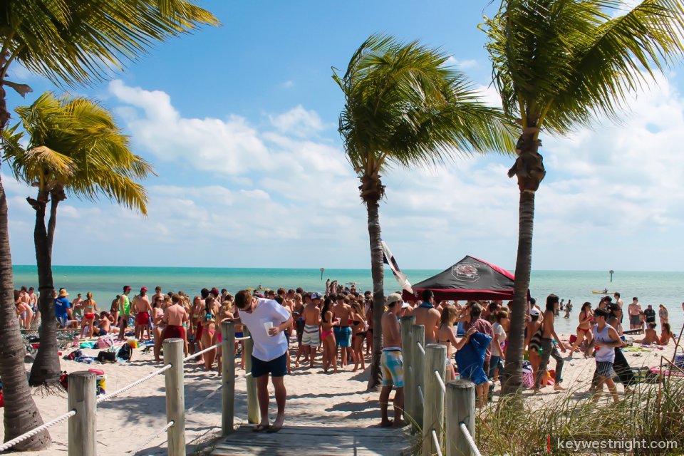 This Week on the Island 03/13/16