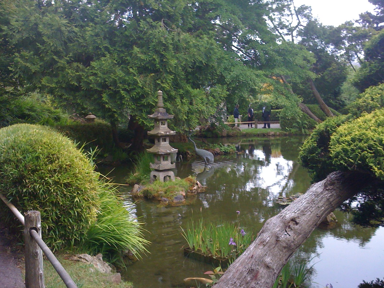 The Golden Gate Park San Francisco, California Travel And Tourism