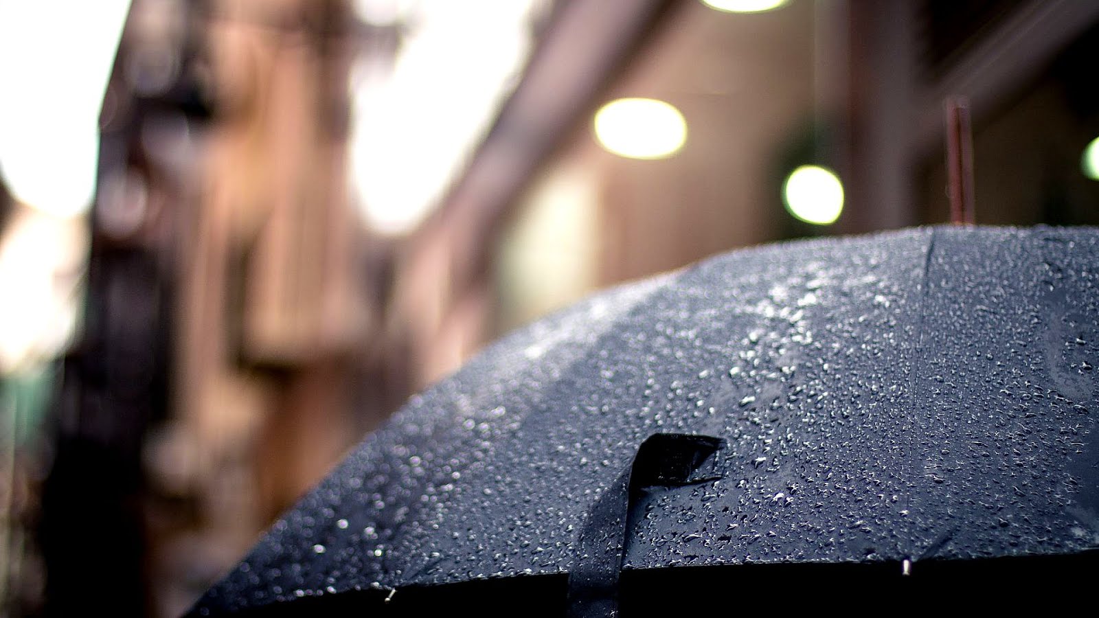 Things To Do In Miami When It Rains Miami Choices