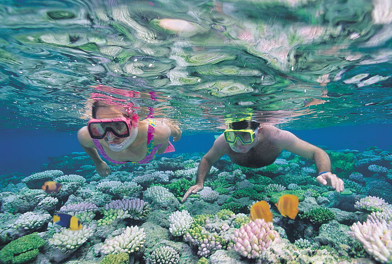 Katie's Global Adventure Day 14 California Kids Go Snorkeling in the