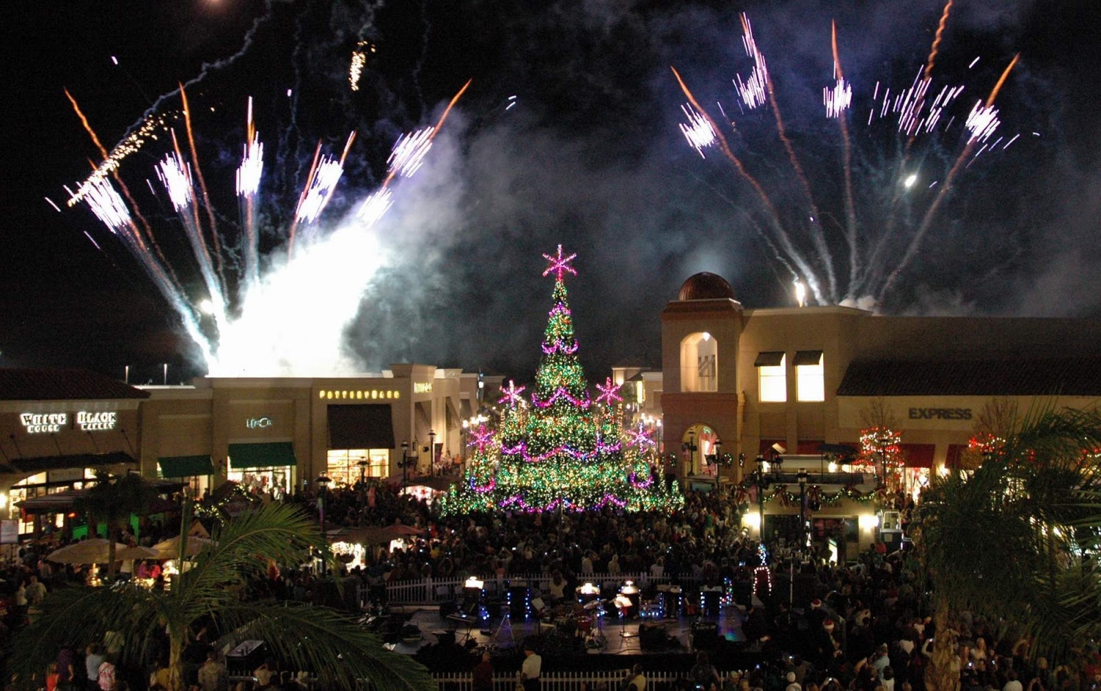 Immortal Fitness 15 places to see Christmas lights in the Tampa Bay area