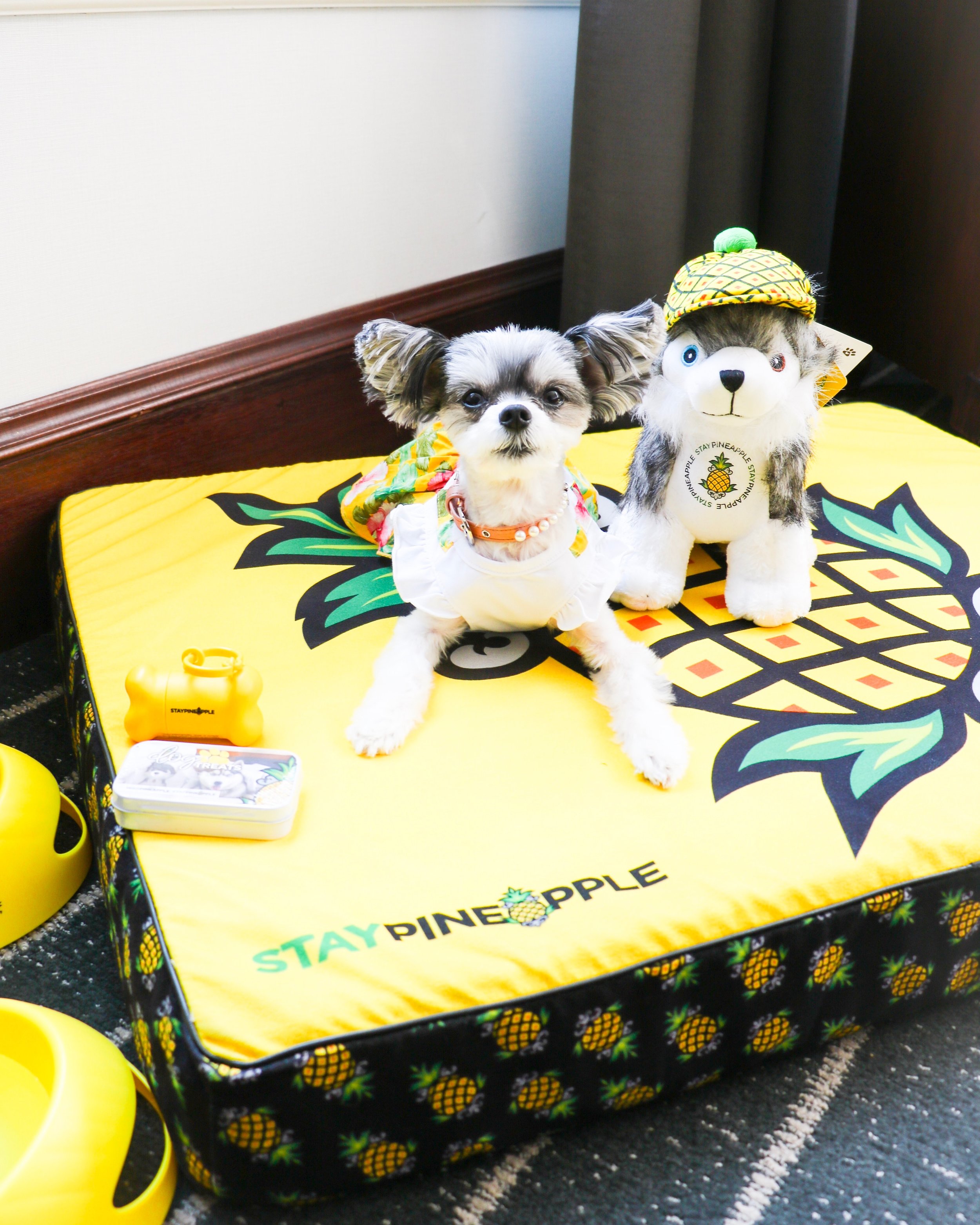 Stay Dog Hotel Chicago Il